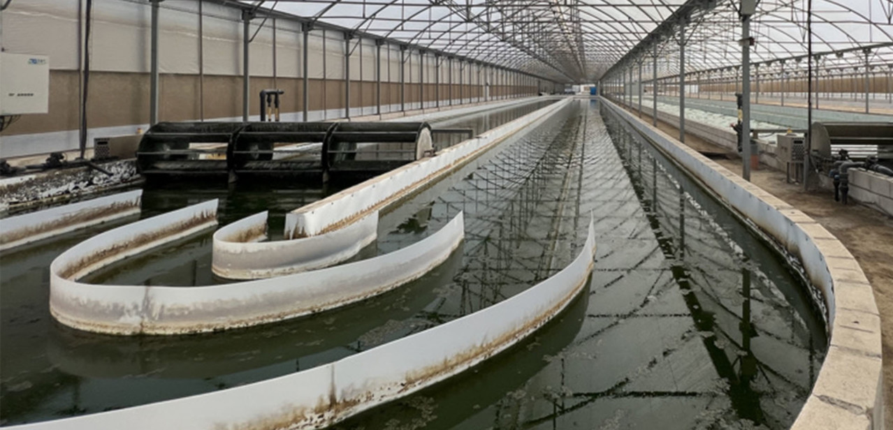 PT3. INGENIERÍA Y ESCALADO PARA PROCESOS DE FABRICACIÓN INDUSTRIAL